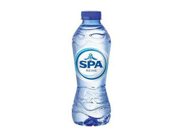 Spa Reine 33Cl Pet