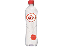 Spa Intense 50Cl Pet